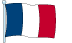 French Flag
